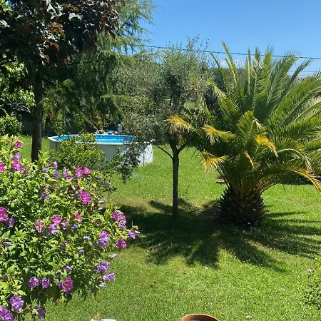 La Fincurri Del Nando A Coruna