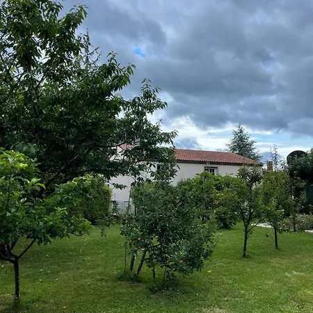 La Fincurri Del Nando