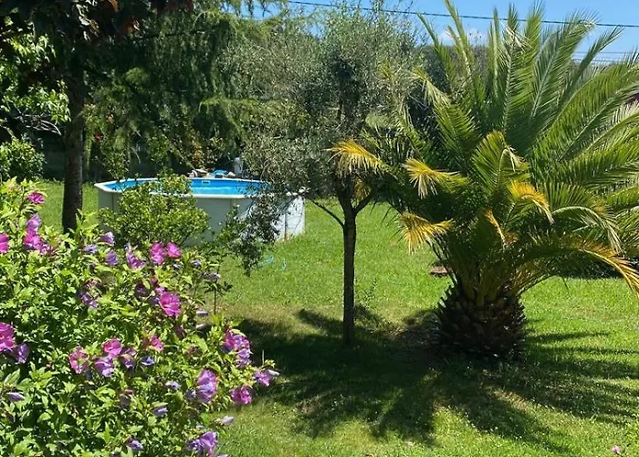 La Fincurri Del Nando A Coruna