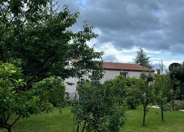 La Fincurri Del Nando